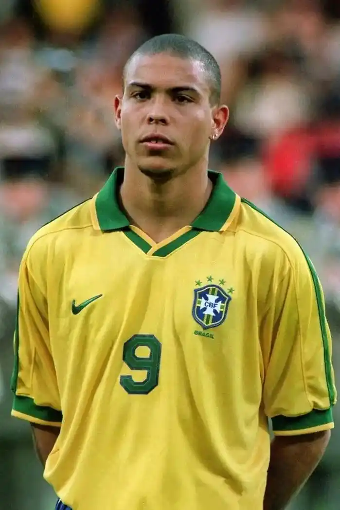 荣誉的背书 荣誉的背书